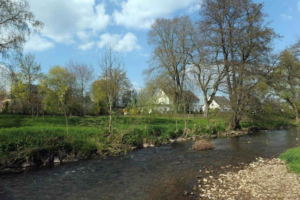 Ferienwohnung Pint Bickendorf Bagian luar foto